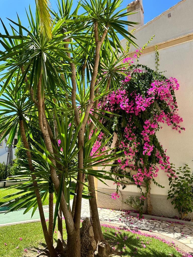 Apartment Casa Vindel A Tan Solo 300 M De La Playa Vera